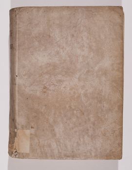 Mor.+H+13,+piatto+anteriore